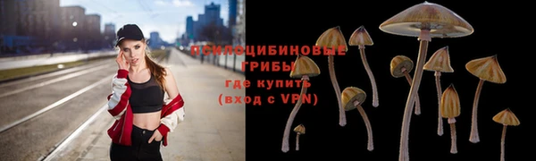 соль ск Аркадак