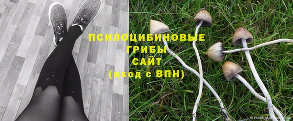 соль ск Аркадак