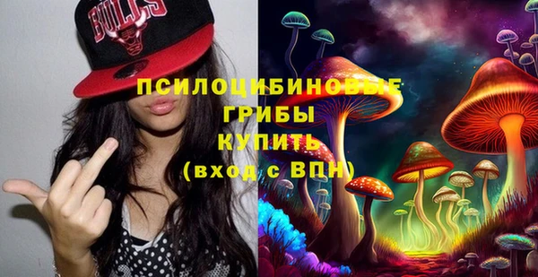 соль ск Аркадак