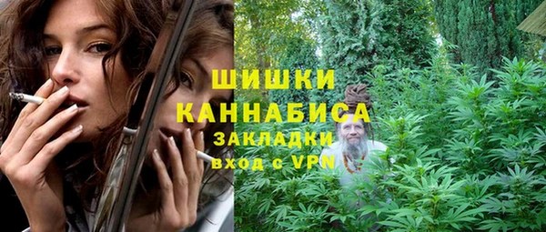 прущие грибы Сафоново