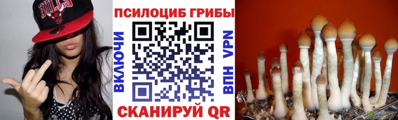 мориарти как зайти  купить наркоту  Велиж  Галлюциногенные грибы Cubensis 